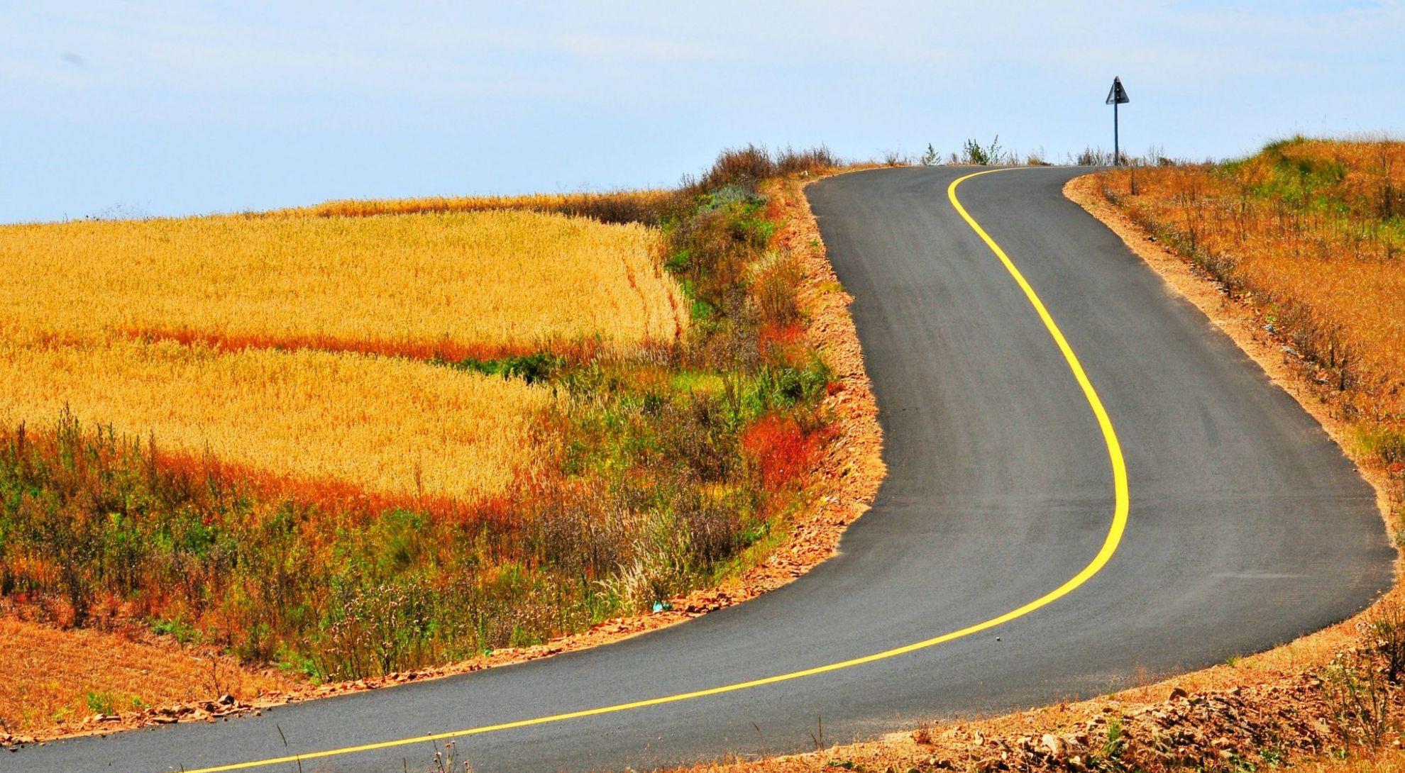 行星秘闻|河北有一天然草原，被誉为“坝上第一原”，满眼苍翠，关键还免费