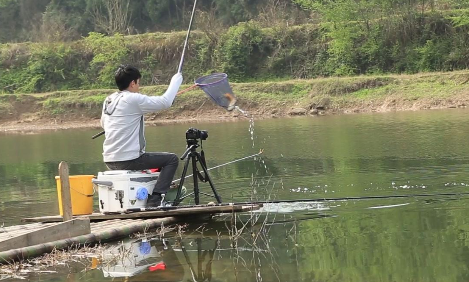 |钓白条有技巧,不只是饵料腥就可以,想收获多这几点要掌握