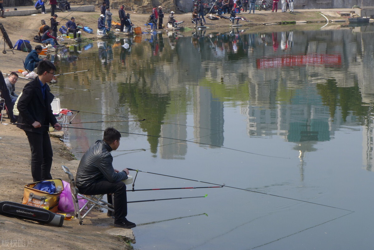 茶馆小二 鱼羊为鲜，可吃！但非要体现“鲜”凌驾于人类折磨和娱乐之上吗？