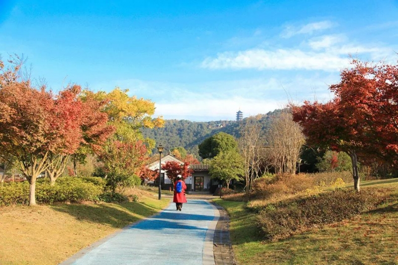 中老铁路|暖阳之下，出发去赏景！