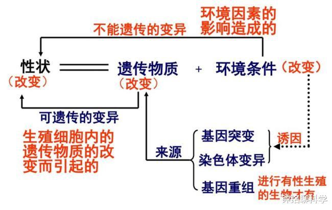 巧合还是必然?大多数雄性动物为什么交配和排泄共用一个器官?