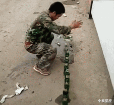 小秦星座|搞笑GIF：本来是想吓一下别人。不想到自己竟遭了殃。失算啊！