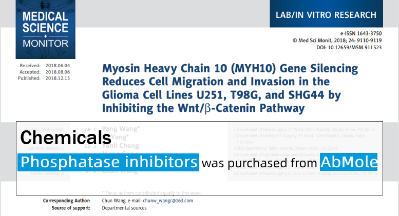 基因 肌球蛋白重链10基因沉默减少U251、T98G和SHG44中细胞迁移和侵袭
