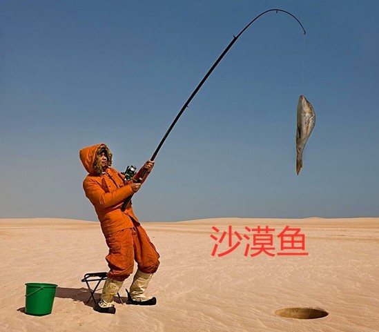 死亡谷 与世隔绝了五万年，全球仅剩38条的沙漠鱼，如今怎么样了？