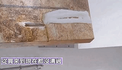 |跟风买了这几个网红用品,不但没“翻车”,反而越用越顺心