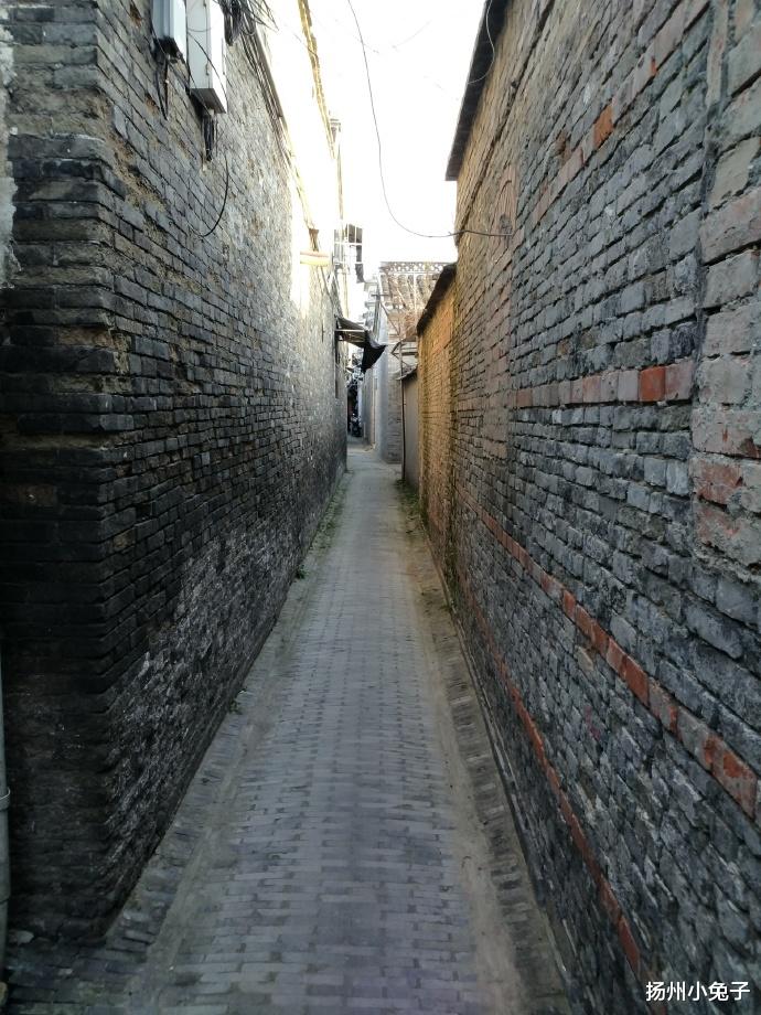 扬州小兔子 淡淡薄雾不迷蒙，吃吃溜溜逛双东