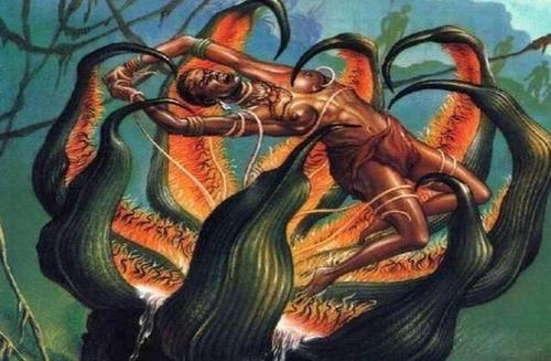 昆虫 真有食人植物吗？一不小心成为树的美餐