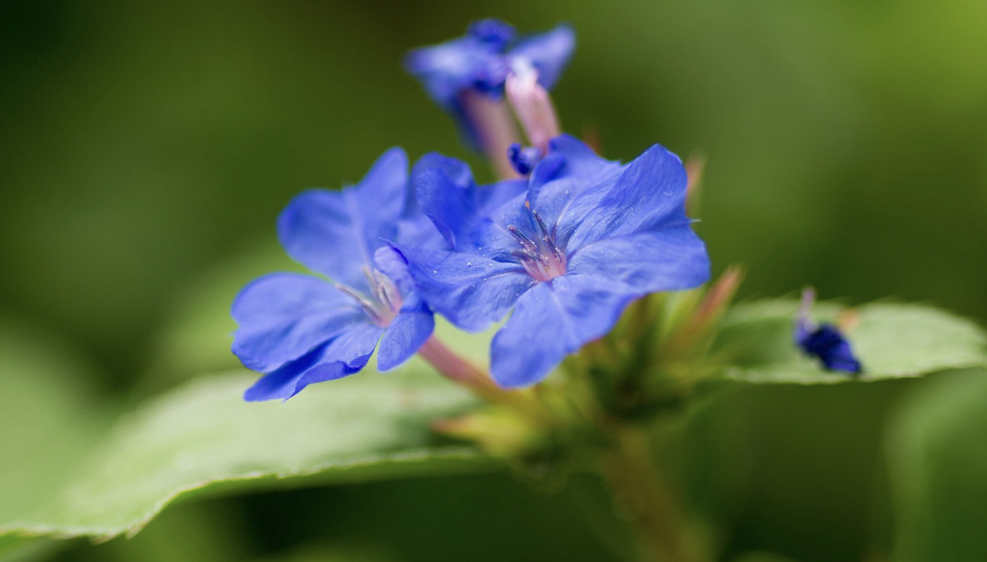 生肖夜读 11月，存款上涨，再创新高，熬走霉运，3生肖好运照拂，幸福连连