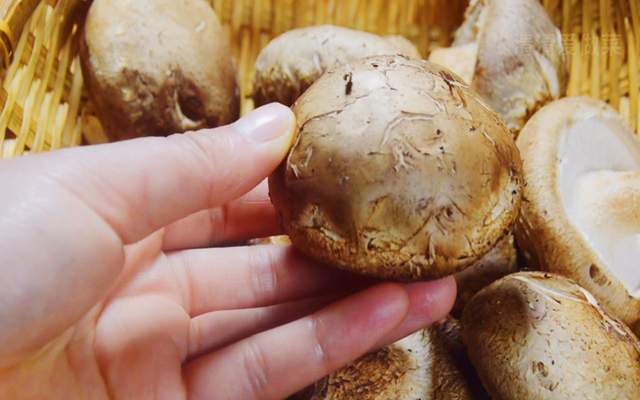 才发现,“香菇不要乱吃”有禁忌,菜农教你一个不外传选购诀窍