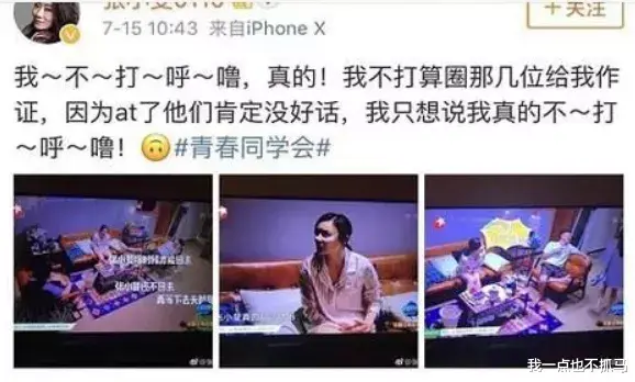 张小斐|就爱看她打脸逆袭