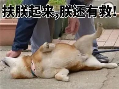 客服 女子被骗30万后,竟遭二次诈骗!这波是暴击