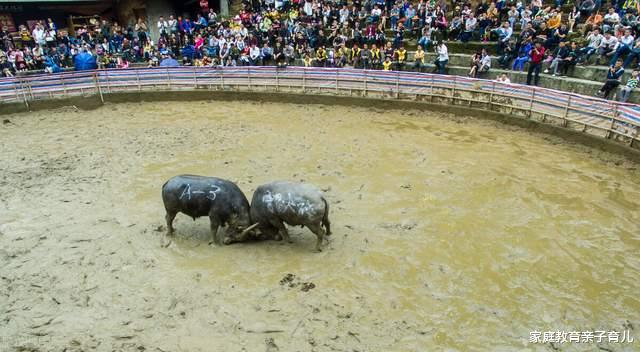 家庭教育亲子育儿|家长这样说,孩子写作业从潦草变认真