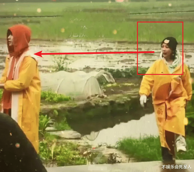 网红脸|张艺兴疑似恋情来了，杨紫曾去男方演唱会，这个瓜会是真的吗？