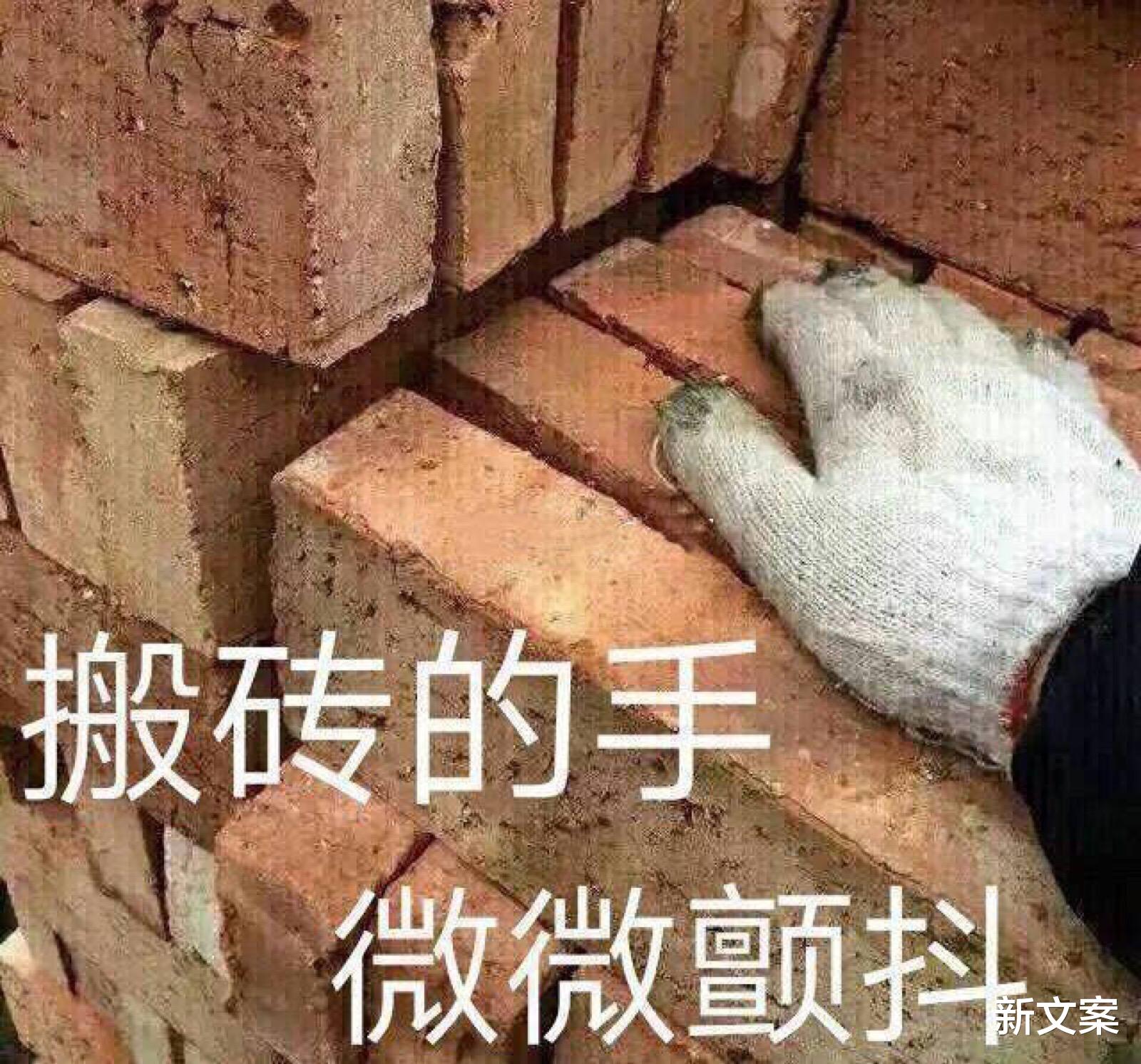 大学|辅导员掉水里了怎么办？好家伙，你们怕不是戏精专业吧？