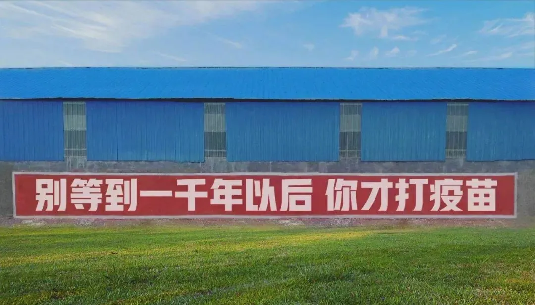 蚌埠论坛 蚌埠人都看！一起苗苗苗苗苗~这个标语太洗脑