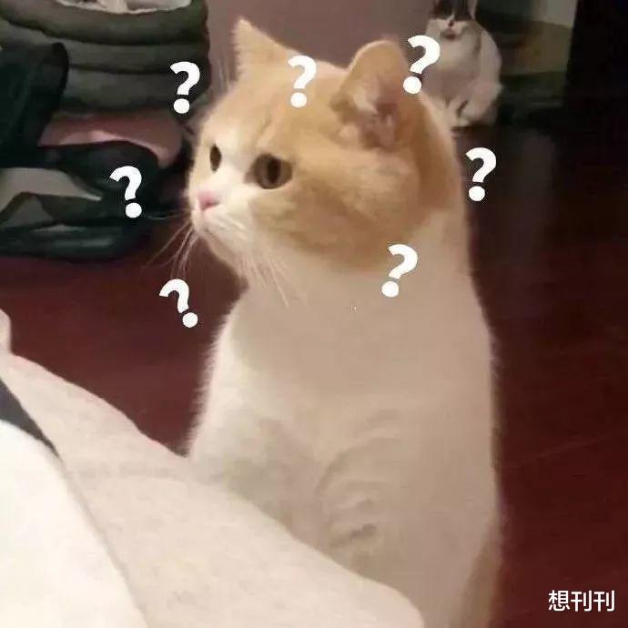 吴昕|大写的问号？人人都说漂亮，却怎么也get不到长相的8个女星