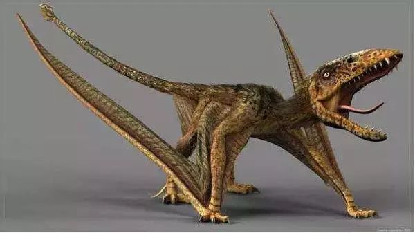 生物考古 盘点史上那些长相怪异的生物