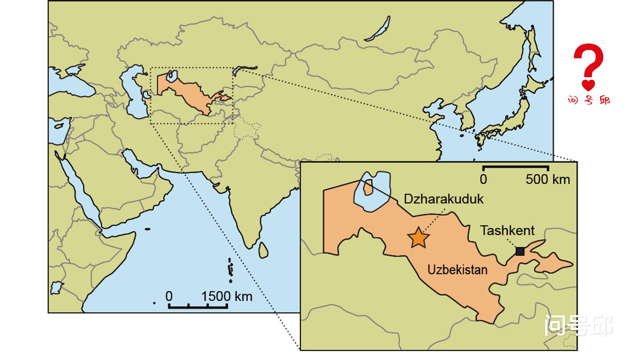 基因 乌兹别克斯坦发现9000万年前巨型恐龙化石,体型超过霸王龙