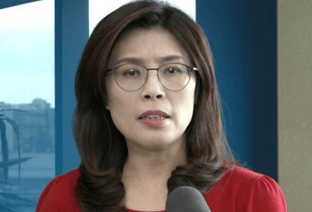 民进党 “台独”是一场骗局！为何离开民进党，郑丽文正面回应