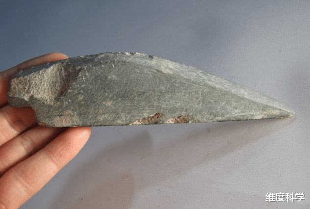 石器时代 猴子进入了“石器时代”?巴拿马的一群猴子,正在使用石器砸椰子