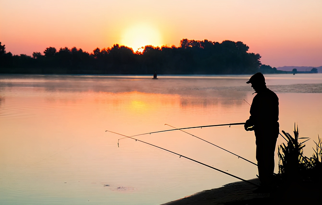 蜂蜜|坐观钓鱼者，徒有羡鱼情