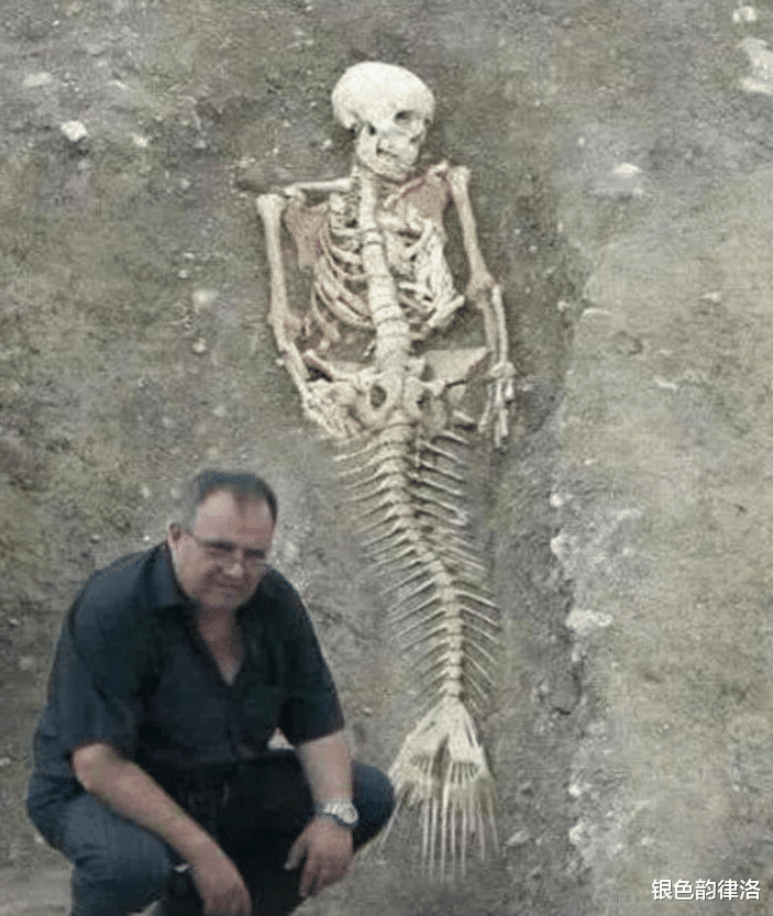 “终于相信有美人鱼了,这具骸骨,就是最好的证明!”