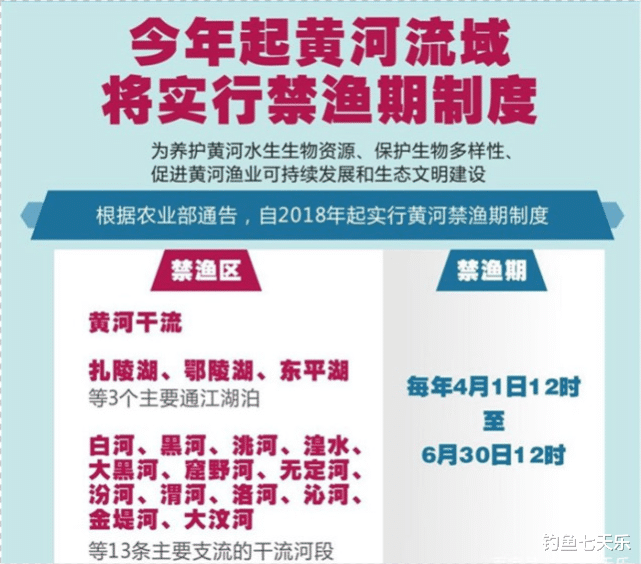 黄河|黄河禁渔令来了！还能休闲钓鱼吗？相关规定和长江大有不同