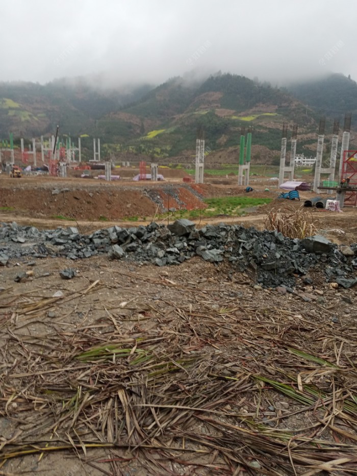 新安江|续钓新安江，找对鱼层增鱼获