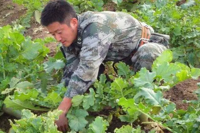 吴京|吴京伤情报告曝光,全身缝合100多针:硬汉?你太小看他了