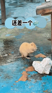 二两橘子 广东东莞，两位工人在某商场的电梯里面运送玻璃，玻璃瞬间被夹碎