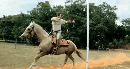 核聚变 比大熊猫还要稀有的普氏野马，中国35年前引入24匹，如今怎样了？