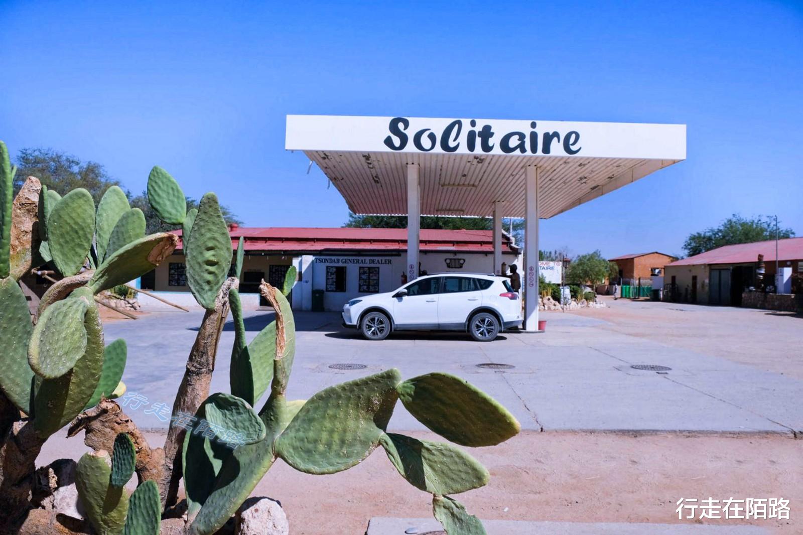 火箭队 “平底锅计划”：中国人远赴非洲治沙，中国游客被特殊照顾