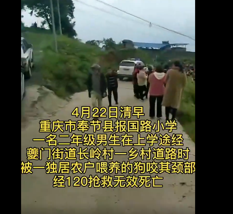 哗哗谈观点 重庆一小男孩上学途中，遇到3只恶狗，被咬住颈部不幸身亡