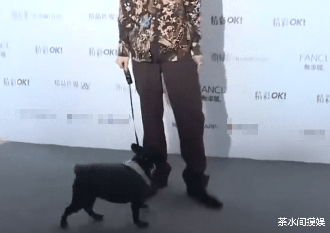 娄艺潇|明星红毯抢镜花招多：有人脱手套秀美甲，有人捧碗走红毯