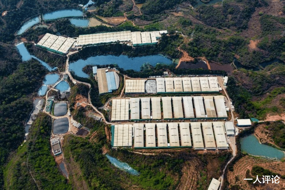 一人评论 河源首家上市企业！年营收13亿，位居供港活大猪供应商前三