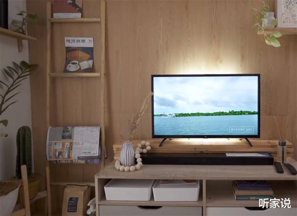 电视背景墙|印尼程序员小哥买下35㎡蜗居，人生中第一套房，面积虽小也要精致