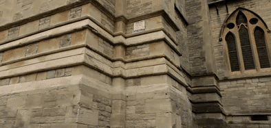 动物庄园|不知道该选性感还是可爱，怎么选呢！