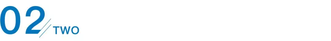 王贞仪 她因晚婚被骂怪物、只活了29岁,火遍全球的大清第一女科学家,为何在国内无人知晓?