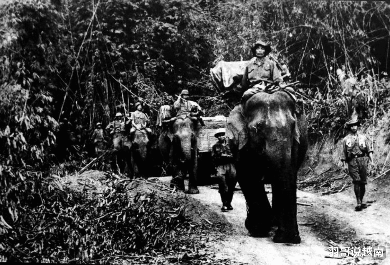 胡志明|令美军头疼的胡志明小道，美军为了销毁它曾经投了2万多枚炸弹