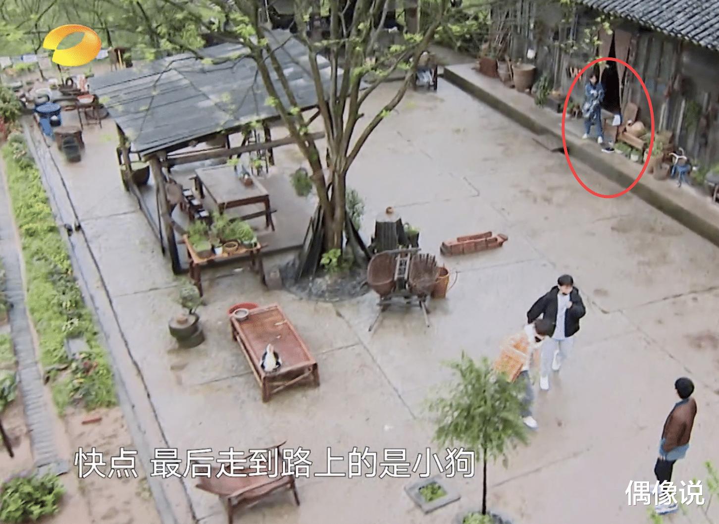 杨紫|杨紫起床不叠被子，脏衣服乱扔在床上，张子枫帮她避免两次尴尬