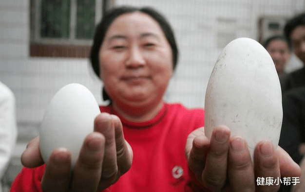 鸡蛋|鸡蛋、鸭蛋和鹅蛋，到底哪个更有营养？告诉你标准答案