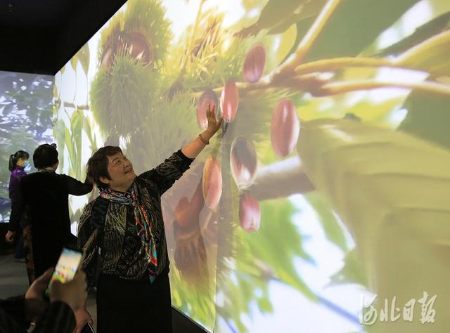 河北新闻网 河北：乐享“五一”假期