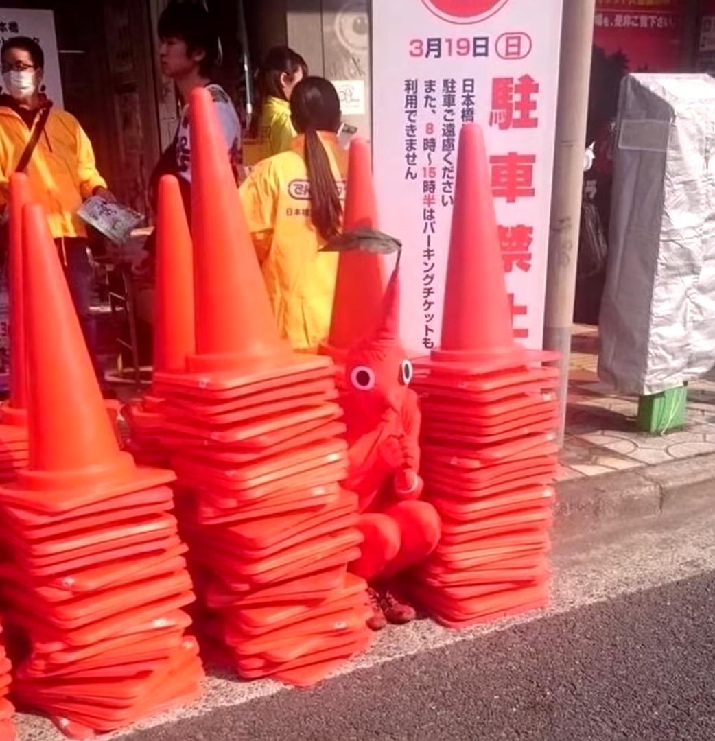 海之归墟|25张带有伪装效果的照片，网友：都是“撞衫”惹的祸