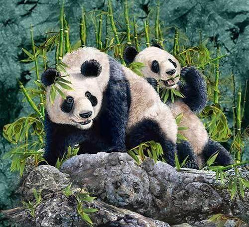 舜网 9张图测试你有多聪明,据说难晕一大片外国人,你头脑够清醒吗?