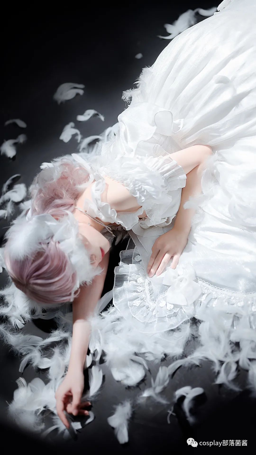 lolita Lolita：她如星河，坠落人间