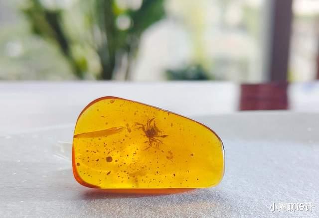 1亿年前琥珀完整封印螃蟹,哈佛专家感叹:非常罕见
