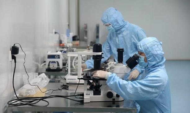 重庆|女大学生用“猪鼻子”，圈住两篇SCI论文，网友：热搜我都没看懂