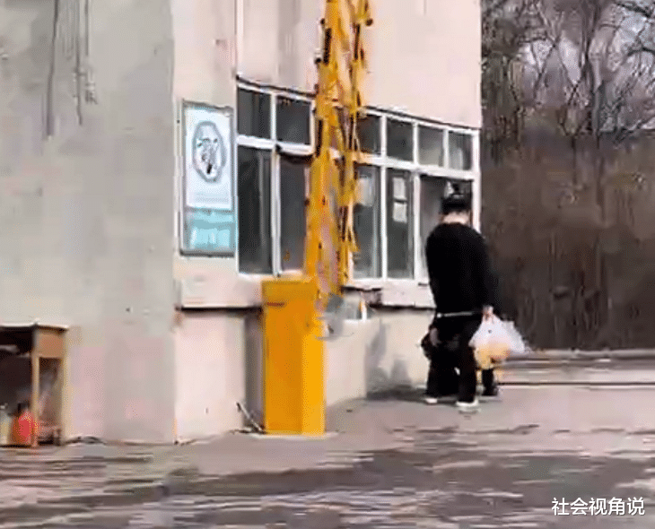 社会视角说 黑龙江一女子与男友腻歪，室友蹲一旁等开饭，网友：狗粮没吃饱吗