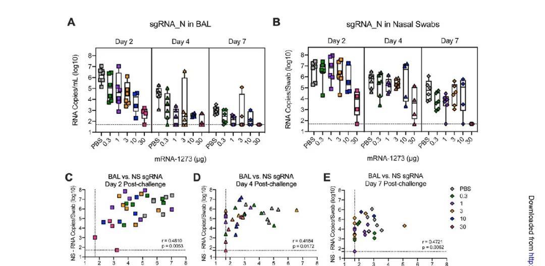 抗体 Science, Nature关注如何预测哪些疫苗接种者仍会感染COVID-19