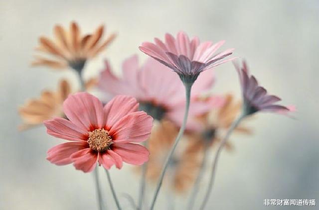 非常财富闻道传播 心若不动，风又奈何，人最佳的心态是什么